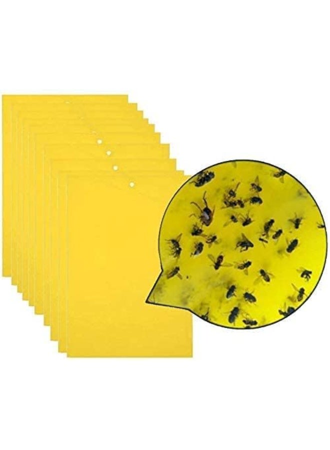 نوفيكس NOVEX Glue Board for Insect Killer | Sticky Paper Refill for Fly Trap | Model NSP-C5 / NIK-C5 | Powerful Non-Toxic Fly Control - Image 1