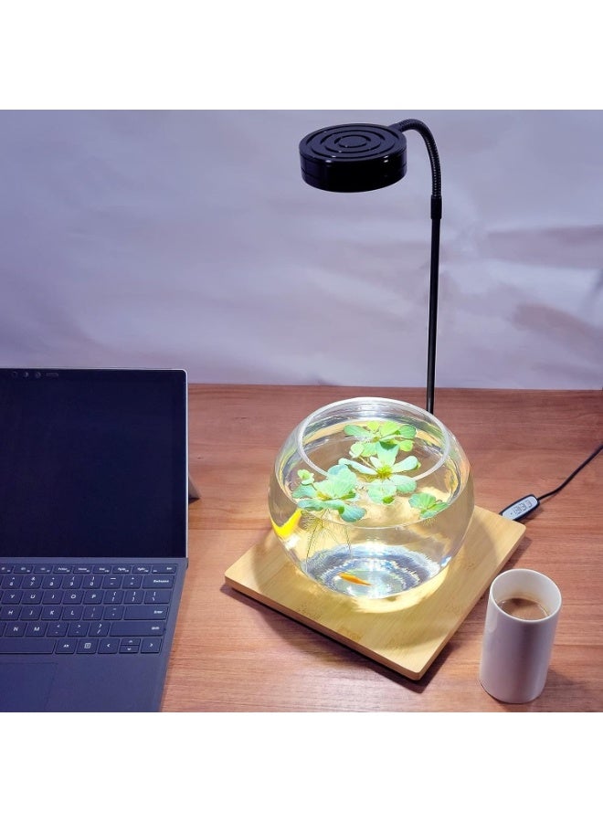 قاعدة خشبية أنيقة مع مصباح LED - مقاس صغير - Image 3