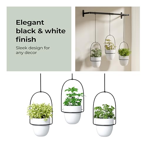 Lifelong Set of 3 Wall Hanging Plant Stand Home Decor Planters | Adjustable Height & Length| Decorative Indoor & Outdoor for Plants | Gamla, Pots for Home & Garden Decoration - Image 3