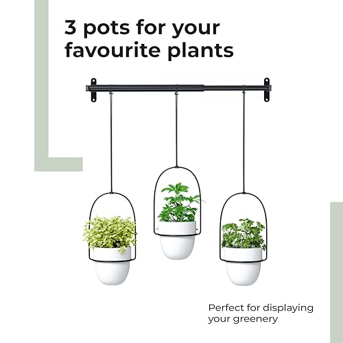 Lifelong Set of 3 Wall Hanging Plant Stand Home Decor Planters | Adjustable Height & Length| Decorative Indoor & Outdoor for Plants | Gamla, Pots for Home & Garden Decoration - Image 5