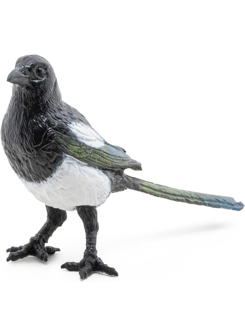 Papo Papo  Realistic Magpie Figurine  from 3 Years Old  Discovering The Animal World  Realistic Figurine  Educational Toy  Hand Painted  Collection  Decoration  Childrens Gift  - Image 3