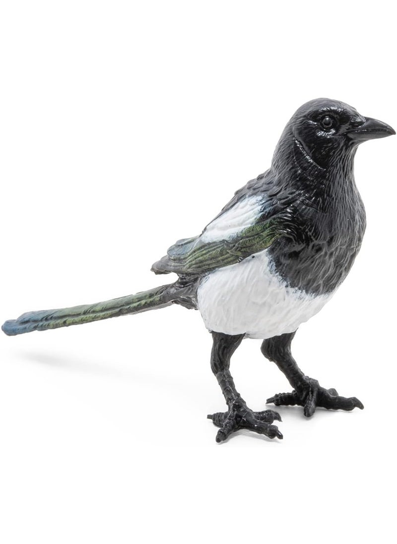 Papo Papo  Realistic Magpie Figurine  from 3 Years Old  Discovering The Animal World  Realistic Figurine  Educational Toy  Hand Painted  Collection  Decoration  Childrens Gift  - Image 5
