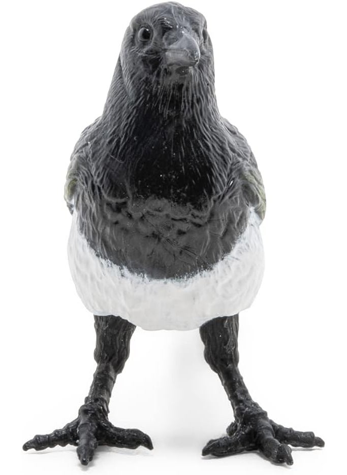 Papo Papo  Realistic Magpie Figurine  from 3 Years Old  Discovering The Animal World  Realistic Figurine  Educational Toy  Hand Painted  Collection  Decoration  Childrens Gift  - Image 4