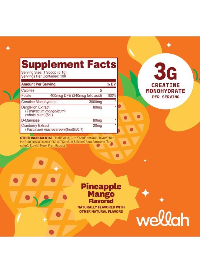 Wellah Pump-It-Up Creatine (100 Servings, Pineapple Mango) - Creatine Monohydrate with Dandelion, Uva Ursi, & Cranberry Extract - Image 2