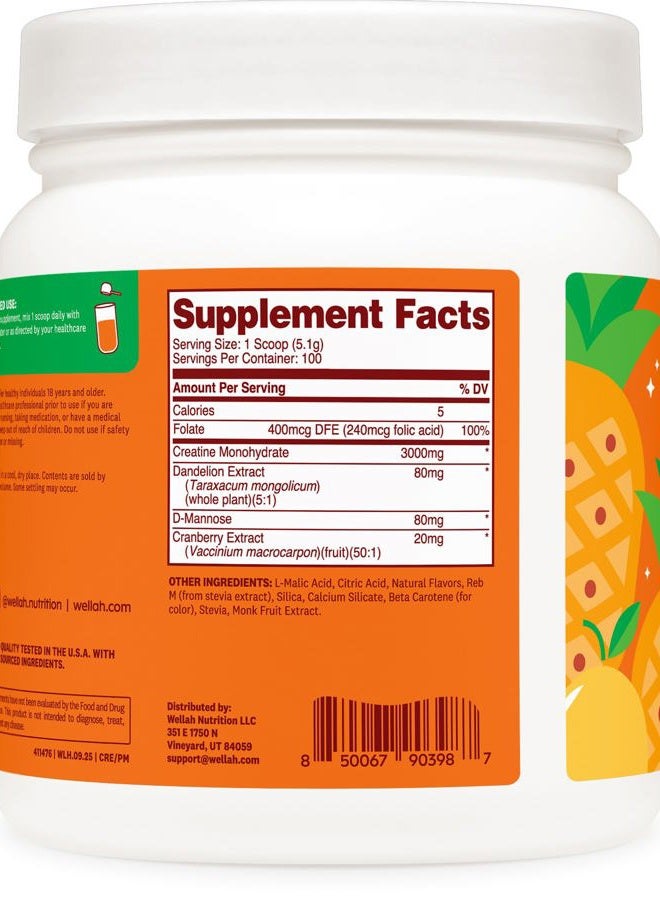 Wellah Pump-It-Up Creatine (100 Servings, Pineapple Mango) - Creatine Monohydrate with Dandelion, Uva Ursi, & Cranberry Extract - Image 4