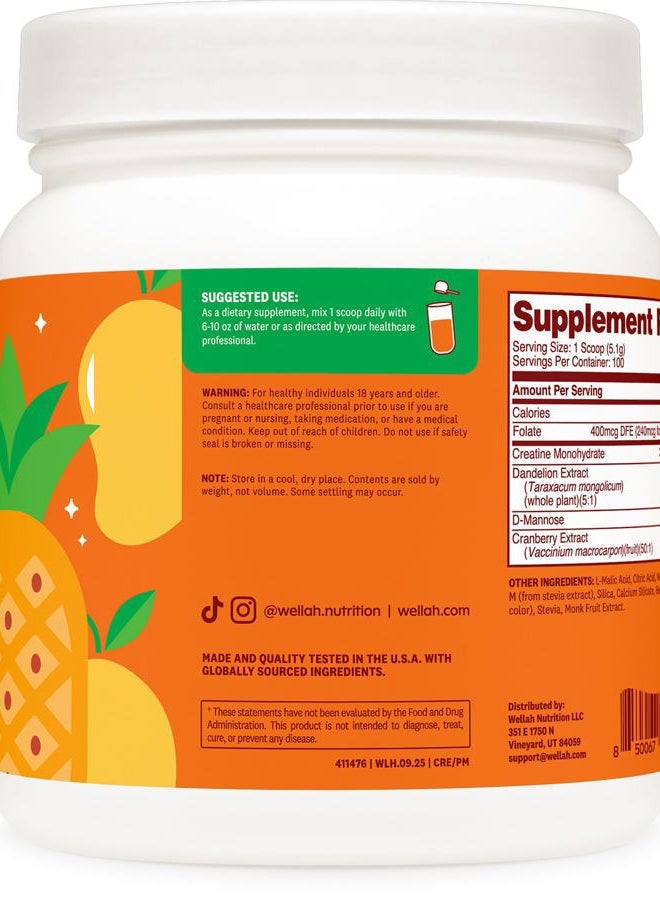 Wellah Pump-It-Up Creatine (100 Servings, Pineapple Mango) - Creatine Monohydrate with Dandelion, Uva Ursi, & Cranberry Extract - Image 3