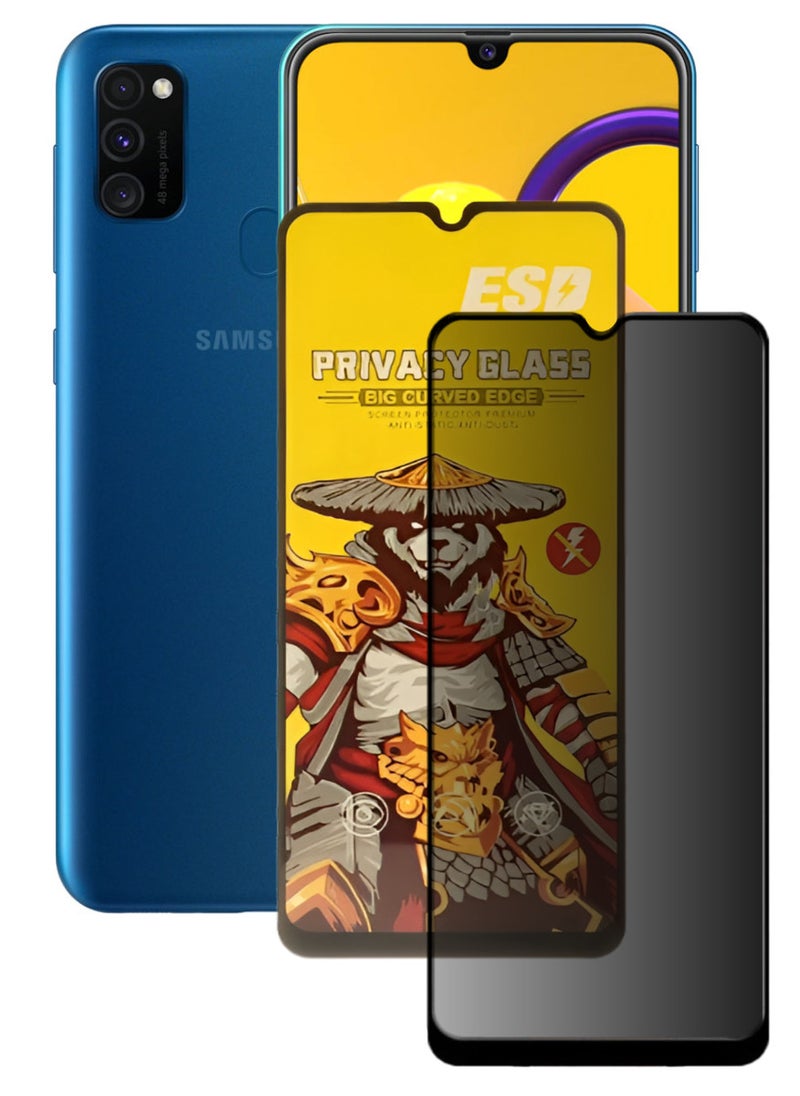 ESD Tempered Dustproof Privacy Glass Screen Protector Compatible For Samsung Galaxy M30s - Image 1