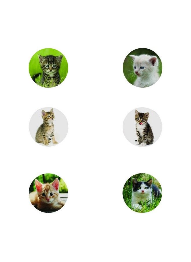 Fun Express Realistic Cat Stickers (Roll Of 100) 1.5” Round 6 Cute Photos Great For Kids Teachers Party Favors Rewards Craft Projects Water Bottles Scrapbooks Calendars Planners And Journals  - Image 3