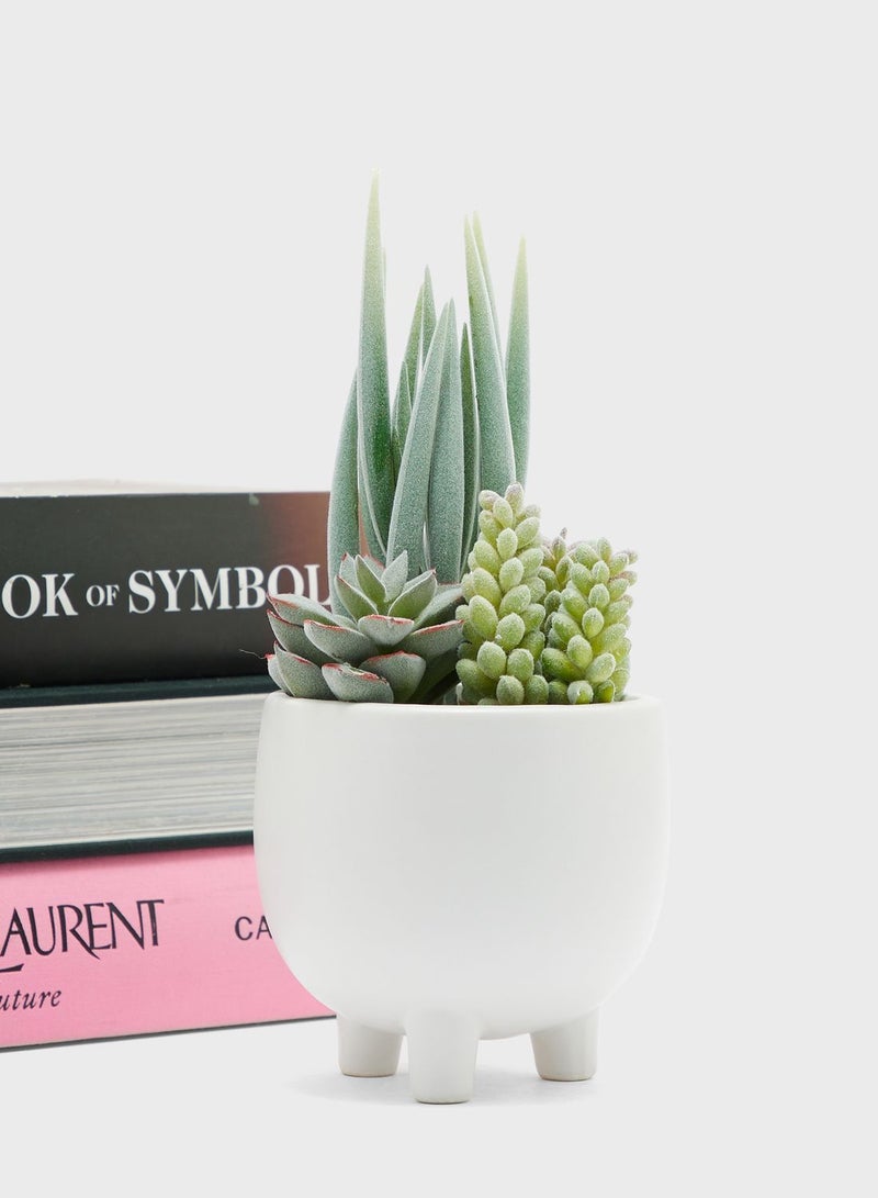 Premier Fiori Mixed Faux Succulents In Ceramic Pot - Image 1