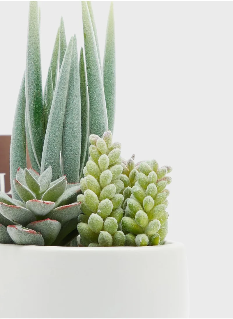 Premier Fiori Mixed Faux Succulents In Ceramic Pot