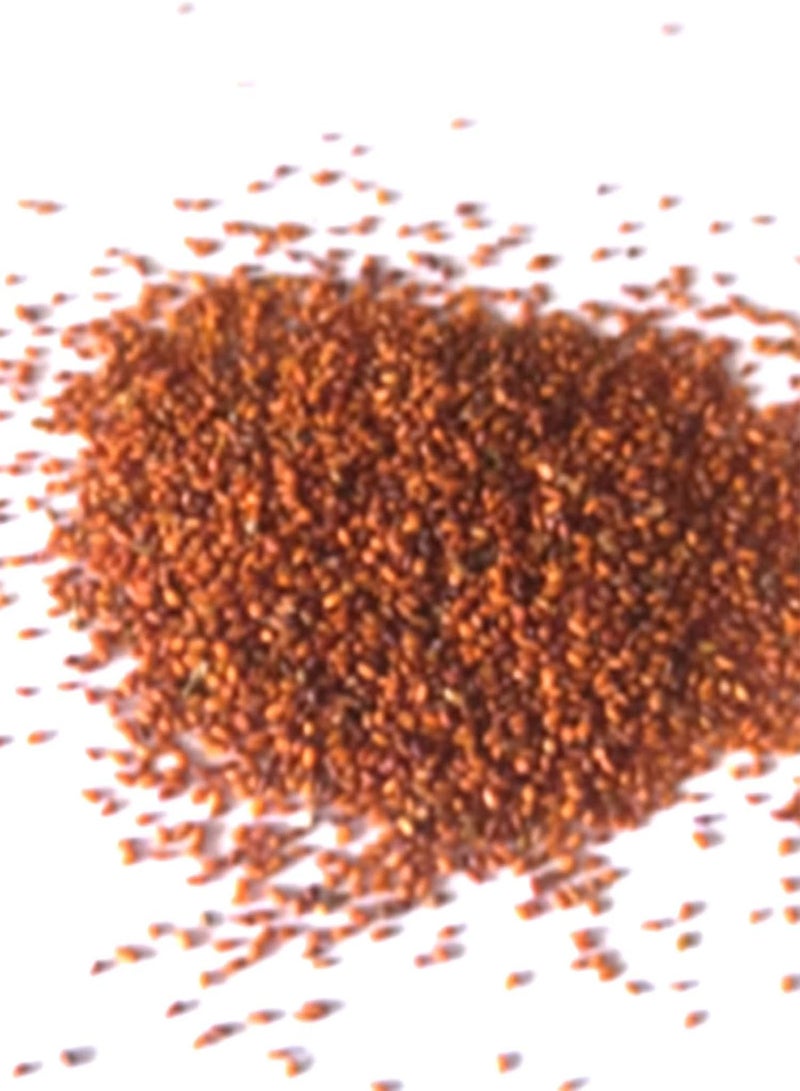 جي جوت 100 قطعة من بذور تيلاندسيا سهلة النمو لزراعة الحدائق المنزلية بألوان متنوعة وبذور نباتات هوائية مميزة للفناء متعدد الألوان مقاس واحد - Image 1