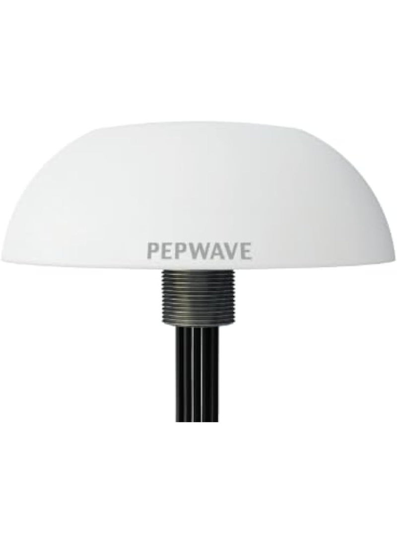 Pepwave Peplink IP67 Dome Omnidirectional Dual MIMO LTE Antenna by Experience high-performance waterproof | Enhanced signal strength for network | High gain for improved connectivity |ANT-100-LTE4-G