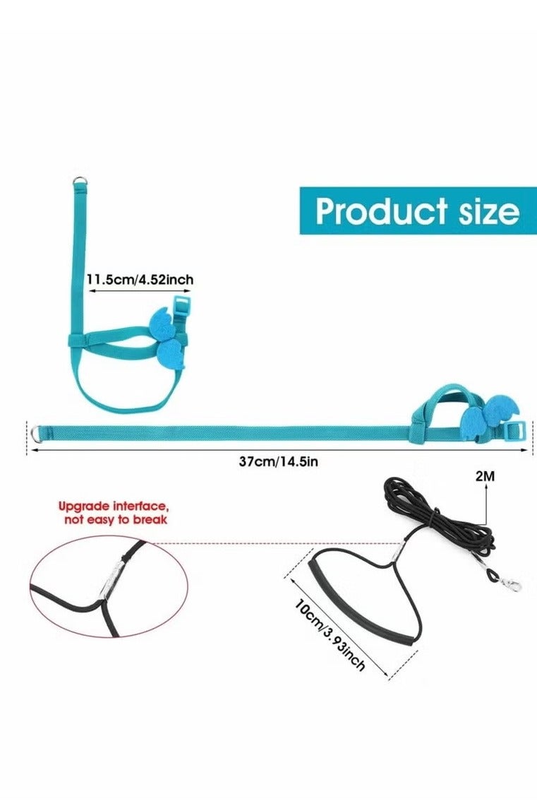 أخبار حزام تدريب الطيور، حبل طيران قابل للتعديل للببغاء حول العالم، أداة نزهة متينة، ألعاب تدريب خارجية للطيور، الببغاوات، الببغاوات الصغيرة، الببغاوات، الببغاوات، لوري، 1 رمادي - Image 4