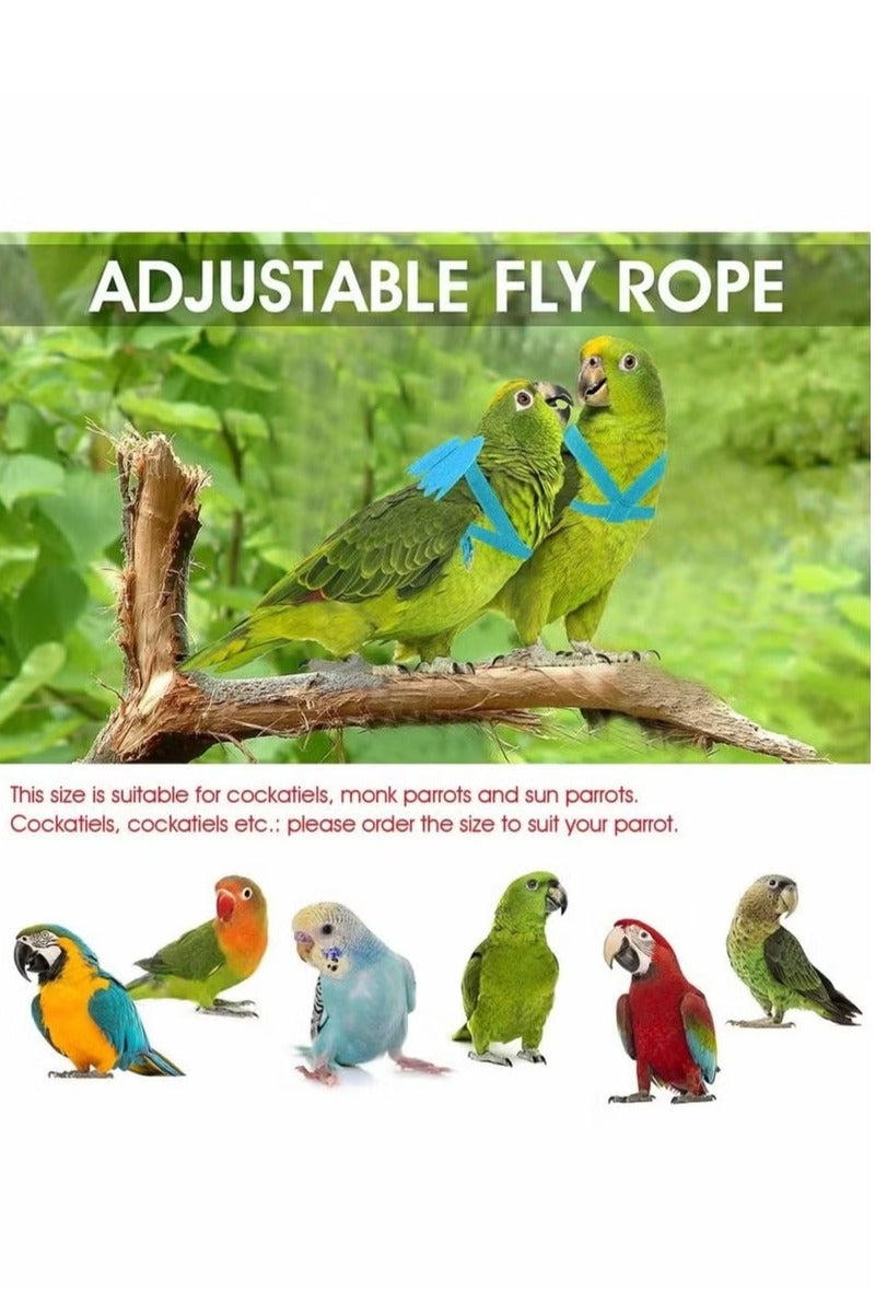 أخبار حزام تدريب الطيور، حبل طيران قابل للتعديل للببغاء حول العالم، أداة نزهة متينة، ألعاب تدريب خارجية للطيور، الببغاوات، الببغاوات الصغيرة، الببغاوات، الببغاوات، لوري، 1 رمادي - Image 5