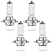 OKOENIEO H7 Halogen Headlight Bulbs 12V 55W 4000 Lumens 3800K No Glare High Beam Head Light Bulbs for Car Fog Light BulbsHeadlight Bulb Low Beam High Beam Pack of 4 - Image 2