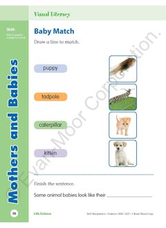 Skill Sharpeners Science, Grade 1  - Image 3