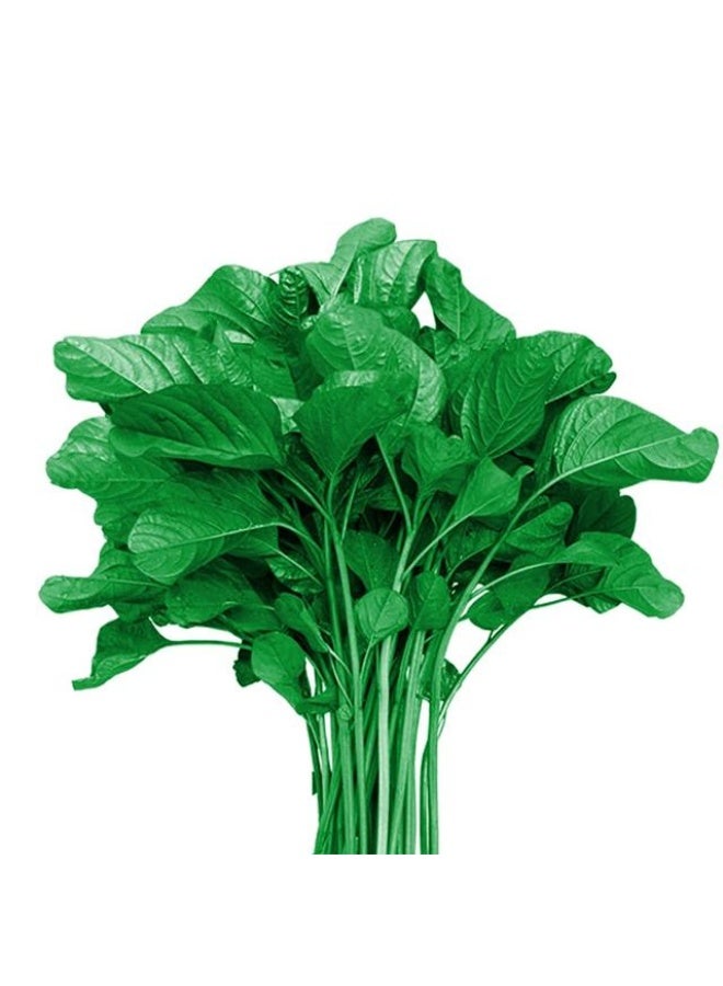 Green Spinach , Cheera - 70g to 80g , UAE