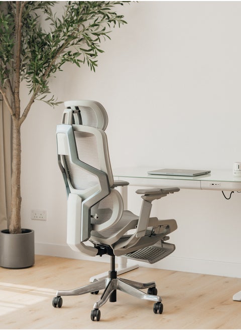 Executive Computer Office Chair - Advanced Ergonomics, High-Back, Breathable Mesh - Adjustable Lumbar Support, Footrest, Headrest, Seat Depth, Foldable Armrests - Aluminum Swivel Base (Grey)