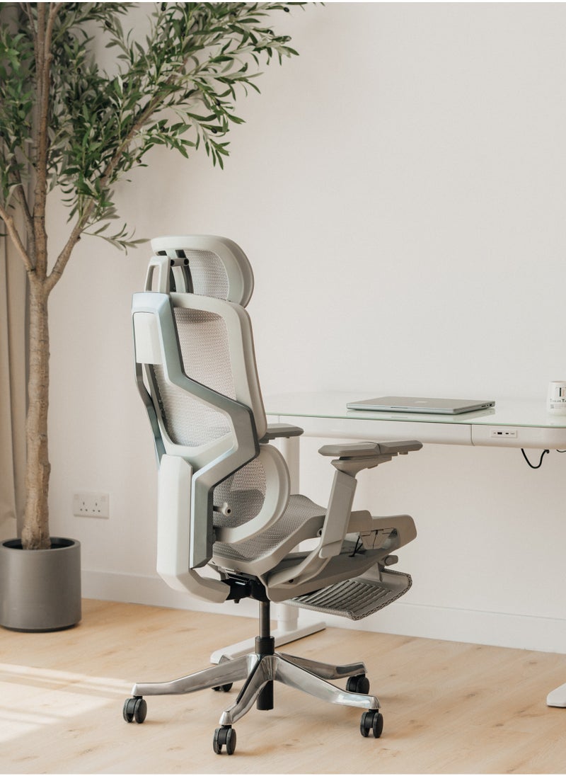 SkyLand Executive Computer Office Chair - Advanced Ergonomics, High-Back, Breathable Mesh - Adjustable Lumbar Support, Footrest, Headrest, Seat Depth, Foldable Armrests - Aluminum Swivel Base (Grey)  - Image 1