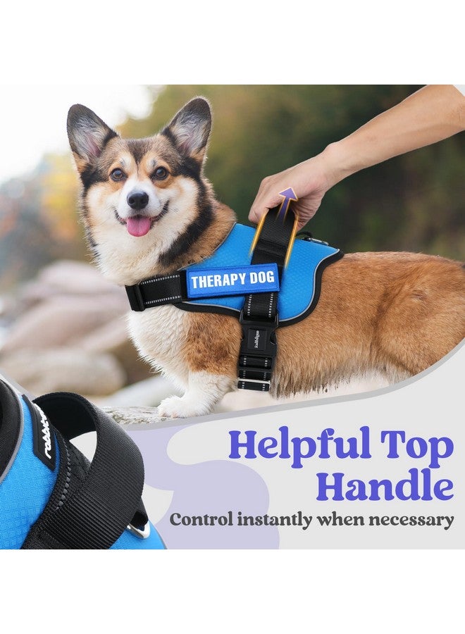 رابيتجو تسخير الكلاب من rabbitgoo متوسط الحجم، سهل الارتداء، سترة للحيوانات الأليفة مزودة بإبزيم واحد، تسخير خدمة قابل للتعديل بدون سحب مع حلقة على شكل حرف D ومقبض، عاكس للمشي الآمن والتدريب، أزرق، متوسط - Image 5