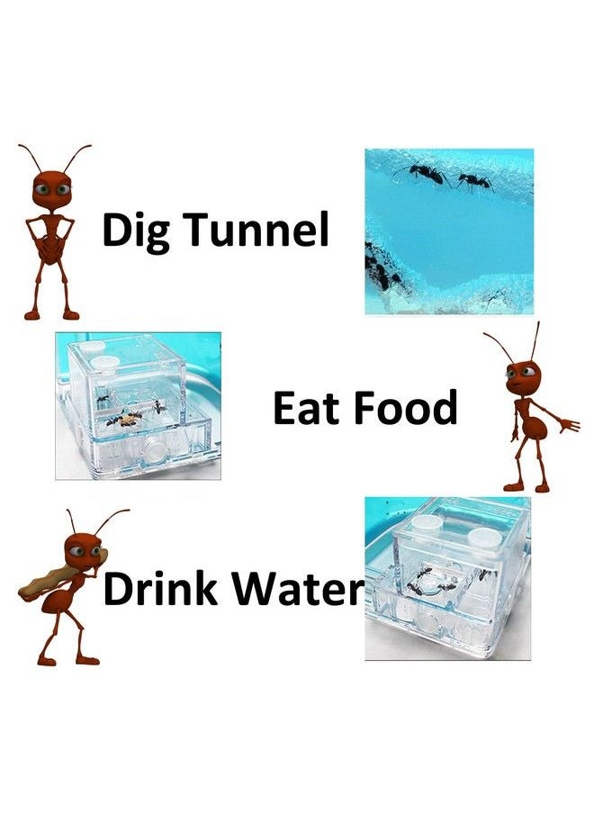 Generic - Ant Farm Large 2 Layer Gel Ant Colony Ecosystem Terrarium, Ant Habitat Science Learning Kit(With No Ant) - Image 1