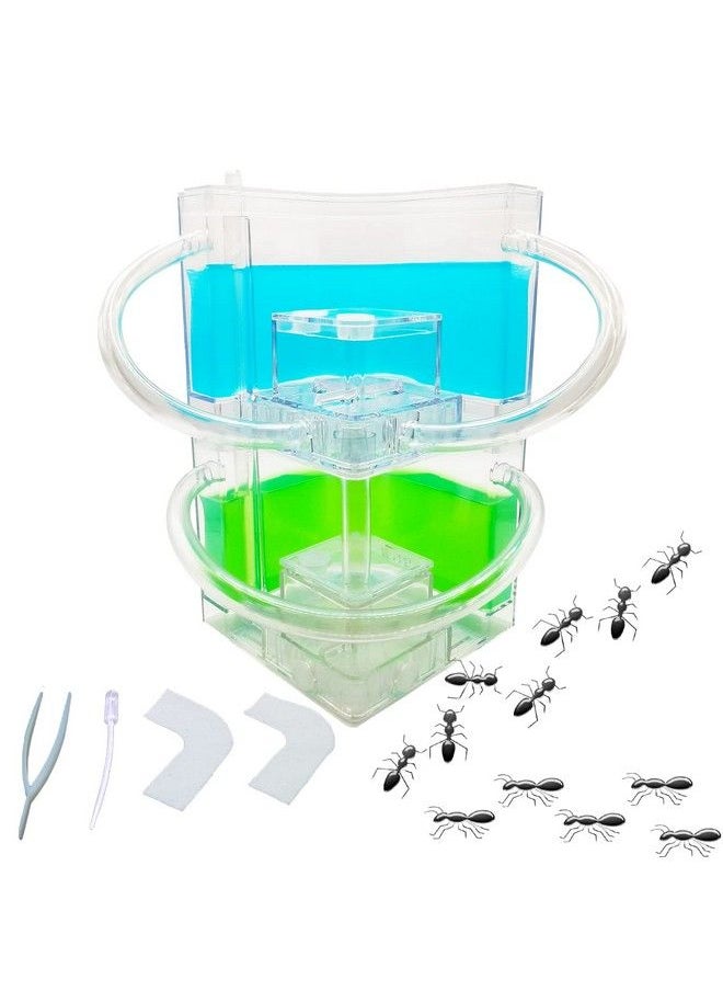 Generic - Ant Farm Large 2 Layer Gel Ant Colony Ecosystem Terrarium, Ant Habitat Science Learning Kit(With No Ant) - Image 1