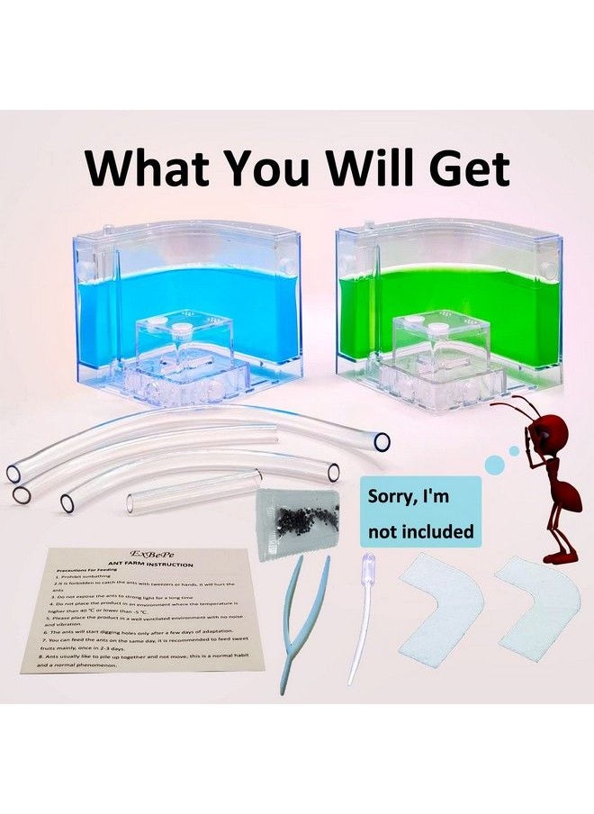 Generic - Ant Farm Large 2 Layer Gel Ant Colony Ecosystem Terrarium, Ant Habitat Science Learning Kit(With No Ant) - Image 1