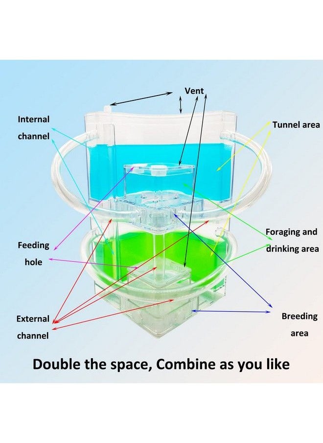 Generic - Ant Farm Large 2 Layer Gel Ant Colony Ecosystem Terrarium, Ant Habitat Science Learning Kit(With No Ant) - Image 1