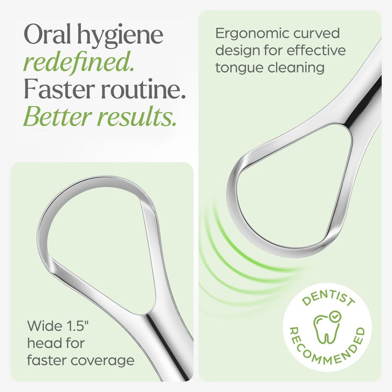 VIVAGO Tongue Scraper for Adults with Holder (2 Pack) - Metal Tongue Scraper for Tongue Cleaning and Reducing Bad Breath - Stainless Steel Tongue Scraper for Adults, Tongue Cleaner for Adults - Image 3