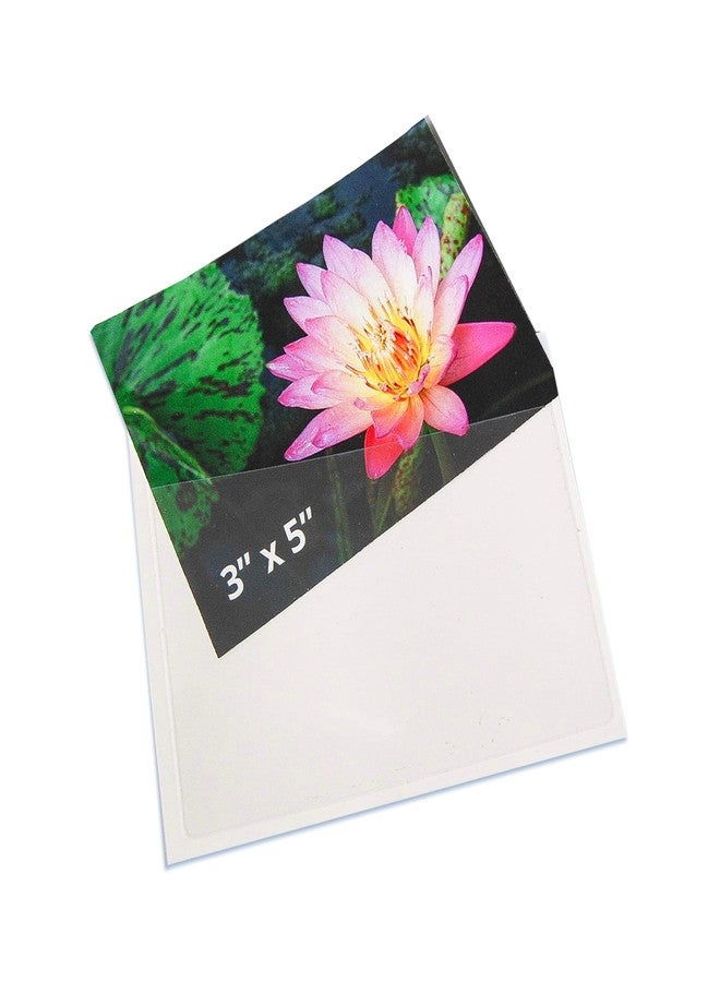 Tarifold DJOIS® by Tarifold - Self Adhesive Pockets - Standard Photo Size - Durable Polypropylene - 3" x 5" - Transparent - 100/BX (21150) - Image 1