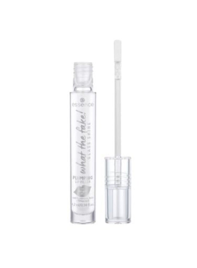 Gloss Shine Lip Gloss