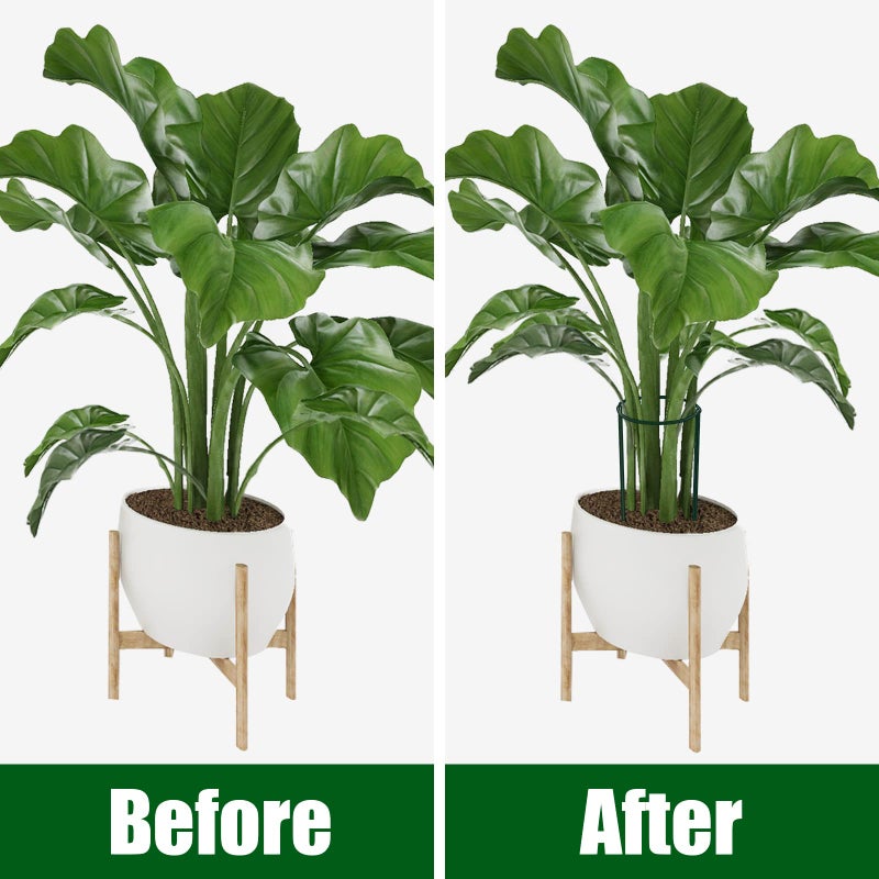 FEED GARDEN 6 Pack Plant Support Stakes, Peony Cages and Supports, Metal Garden Plant Stake(10" Wide x 16" High) Green Half Round Plant Support Rings for Outdoor Indoor Plants, Tomato, Hydrangea - Image 4