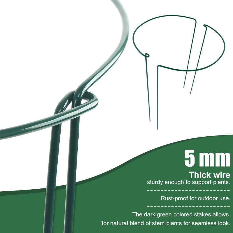 FEED GARDEN 6 Pack Plant Support Stakes, Peony Cages and Supports, Metal Garden Plant Stake(10" Wide x 16" High) Green Half Round Plant Support Rings for Outdoor Indoor Plants, Tomato, Hydrangea - Image 3
