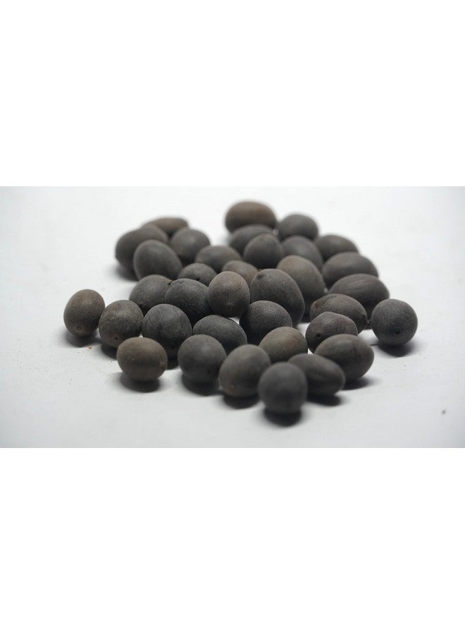 THOGAI THOGAI’S-”LOTUS SEEDS”-Thamarai Vithai/Lotus Seeds (Raw)/Nelumbo nucifera/தாமரை விதை / Thamarai Vithai/कमल/Kamal/താമര/Tamara/తామర, ఎర్ర-తామర / Tamara, Erra-tamara (50 GRAMS (PACK OF 1))  - Image 2