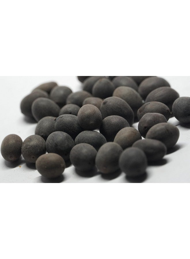 THOGAI THOGAI’S-”LOTUS SEEDS”-Thamarai Vithai/Lotus Seeds (Raw)/Nelumbo nucifera/தாமரை விதை / Thamarai Vithai/कमल/Kamal/താമര/Tamara/తామర, ఎర్ర-తామర / Tamara, Erra-tamara (50 GRAMS (PACK OF 1))  - Image 4