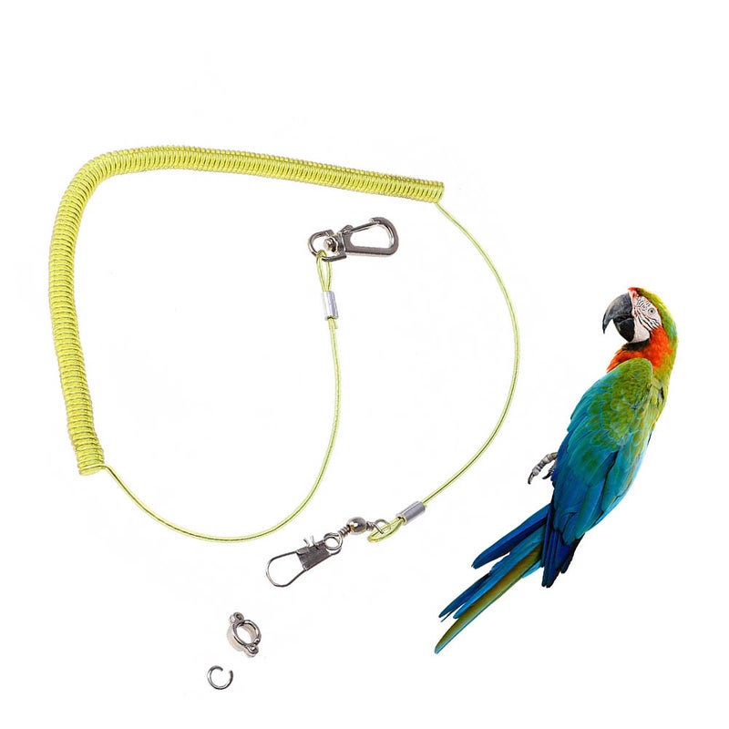 2 pcs 5 Meters Bird Leash Trainning Rope Flying Anti-Bite Elastic String for Parrot - (Random Color) - Image 1