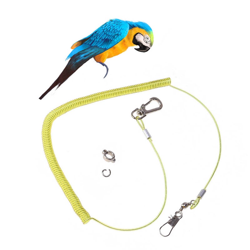 2 pcs 5 Meters Bird Leash Trainning Rope Flying Anti-Bite Elastic String for Parrot - (Random Color) - Image 4