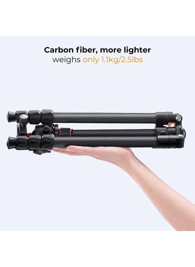 K&F Concept 64 inch/163cm Carbon Fiber Camera Tripod,Lightweight Travel Tripod with 36mm Metal Ball Head Load Capacity 8kg/17.6lbs,Quick Release Plate,for DSLR Cameras Indoor Outdoor Use K254C2+BH-36L  - Image 3