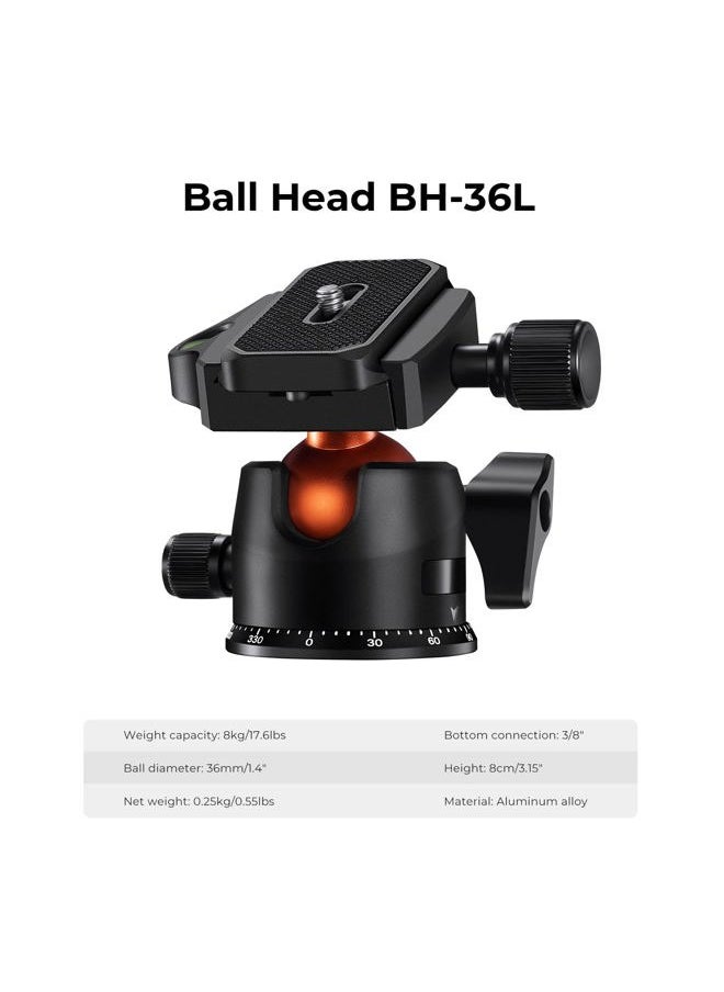 K&F Concept 64 inch/163cm Carbon Fiber Camera Tripod,Lightweight Travel Tripod with 36mm Metal Ball Head Load Capacity 8kg/17.6lbs,Quick Release Plate,for DSLR Cameras Indoor Outdoor Use K254C2+BH-36L  - Image 5