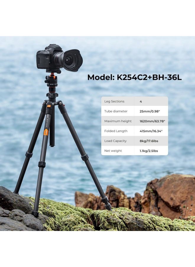 K&F Concept 64 inch/163cm Carbon Fiber Camera Tripod,Lightweight Travel Tripod with 36mm Metal Ball Head Load Capacity 8kg/17.6lbs,Quick Release Plate,for DSLR Cameras Indoor Outdoor Use K254C2+BH-36L  - Image 2