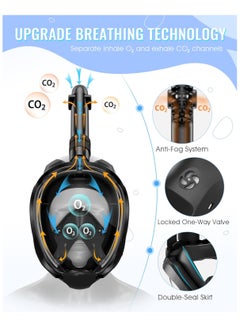 Beauenty Full Face Snorkel Mask for Adults with Latest Dry Top System, Foldable 180 Degree Panoramic View Snorkeling Mask with Camera Mount, Safe Breathing, Anti-Leaku0026Anti-Fog, Adjustable Straps  - Image 2