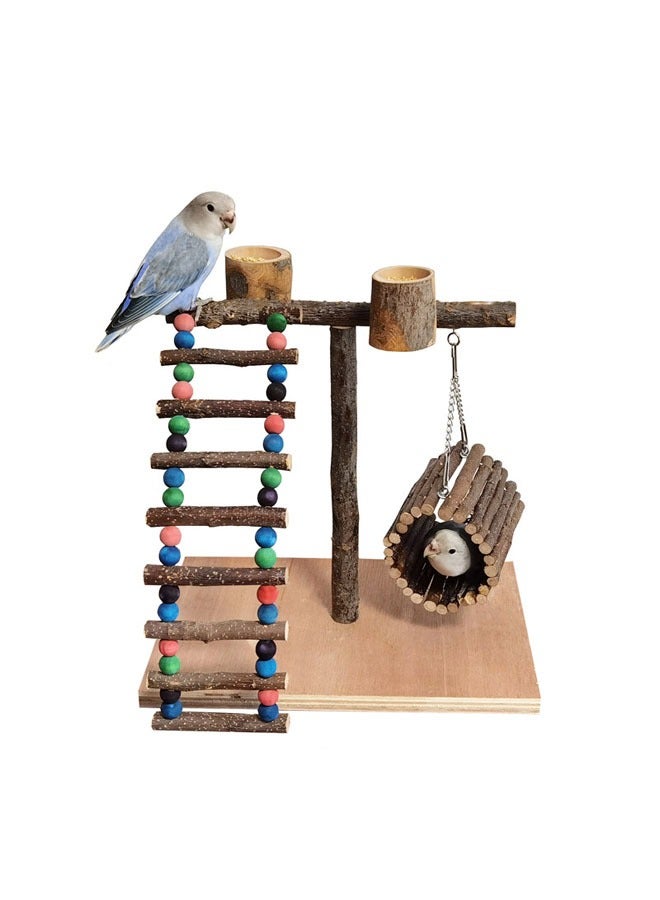 general Solid wood parrot stand bird training rack parrot toy supplies desktop training stand parrot stand pole interactive playground - Image 1