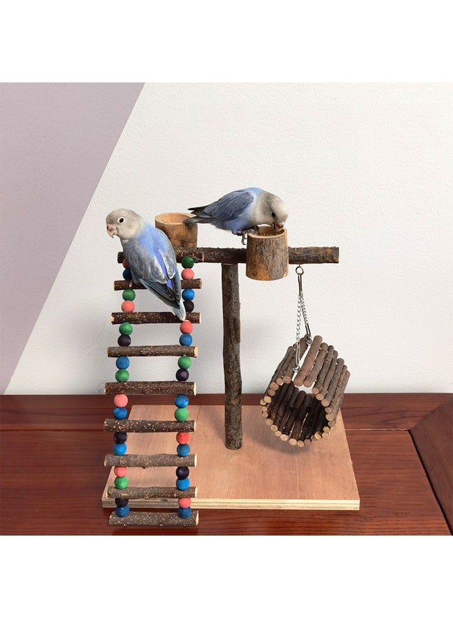general Solid wood parrot stand bird training rack parrot toy supplies desktop training stand parrot stand pole interactive playground - Image 2