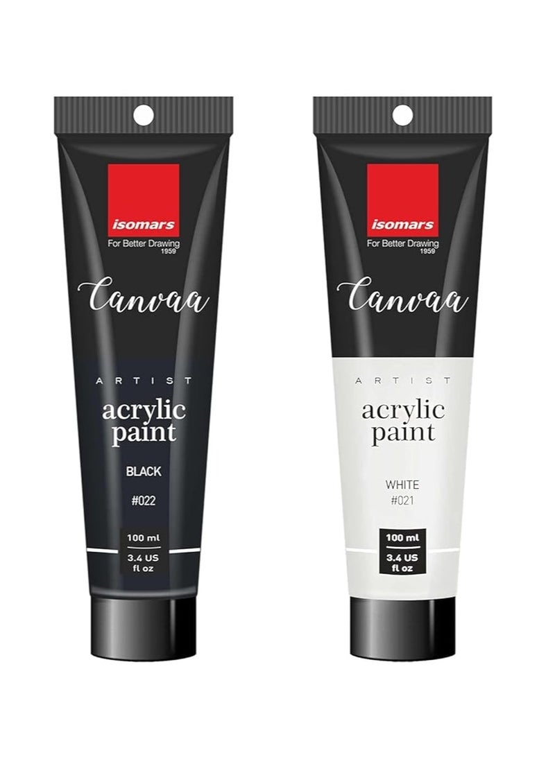 Isomers Isomars CANVAA Black & White Acrylic Paint Combo - 100ml - ARTIST SERIES - Image 1