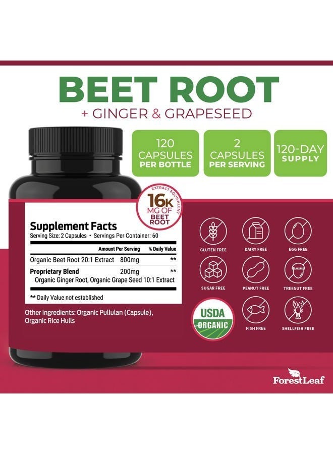 ForestLeaf مركب جذر الشمندر مع الزنجبيل وبذور العنب، 1000 ملغ لكل حصة، عضوي معتمد - 120 كبسولة - Image 2