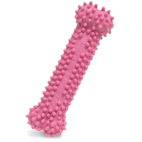 Nylabone Textured Teething Bone Puppy Chew Toy Soothing Puppy Teething Bone Enrichment Toy for Puppies Pink Chicken Flavor XSmall Dogs Up to 15 Ibs 1 Count - Image 1