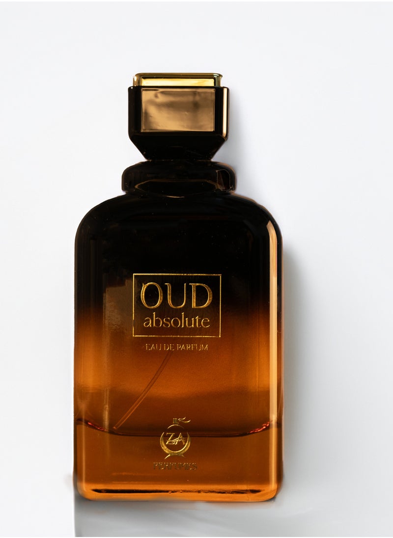 Oud Absolute Leather EDP 100Ml Unisex Fresh Spicy Amber And Woody Fragrance - pzsku/Z9B51BC42D86C7507BF53Z/45/_/1737048321/b739b62d-535b-4b85-8856-037a15c9f96c