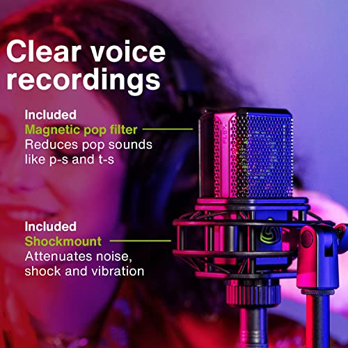 Lewitt 441 Flex Multi-Pattern 1" Large-Diaphragm Studio Condenser Microphone - Image 2