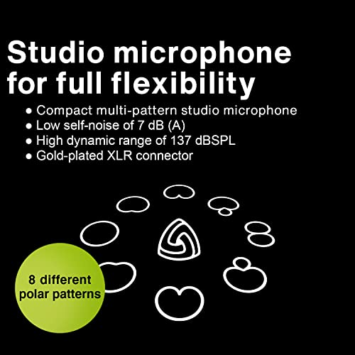 Lewitt 441 Flex Multi-Pattern 1" Large-Diaphragm Studio Condenser Microphone - Image 4