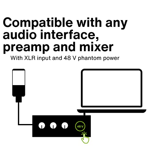 Lewitt 441 Flex Multi-Pattern 1" Large-Diaphragm Studio Condenser Microphone - Image 5
